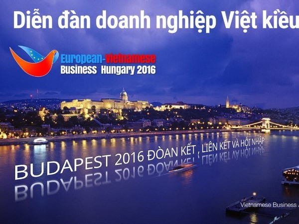 The Federation of Overseas Vietnamese Business Associations in Europe marks its 10th anniversary - ảnh 1